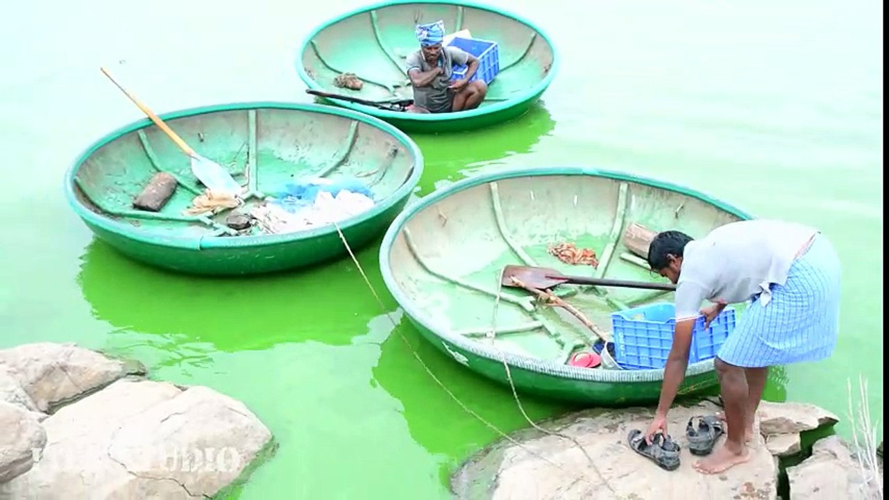 Best Fishing Video