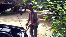 Fearless man pulls snake out of car engine with bare hands