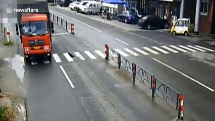 Man hit by lorry when trying to save a dog on the road