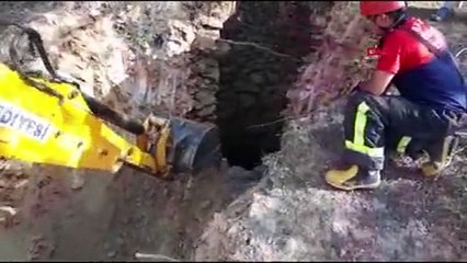 Kuyuya düşen hamile inek iş makinesiyle kurtarıldı