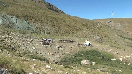 Yayladaki Kadınların Zorlu Mesaisi