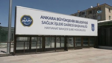 Sokakta Çalışan Çocuklar Evcil Hayvanlar Parkı'nda