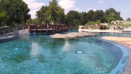 Fok ile bakıcısının dostluğu - BURSA