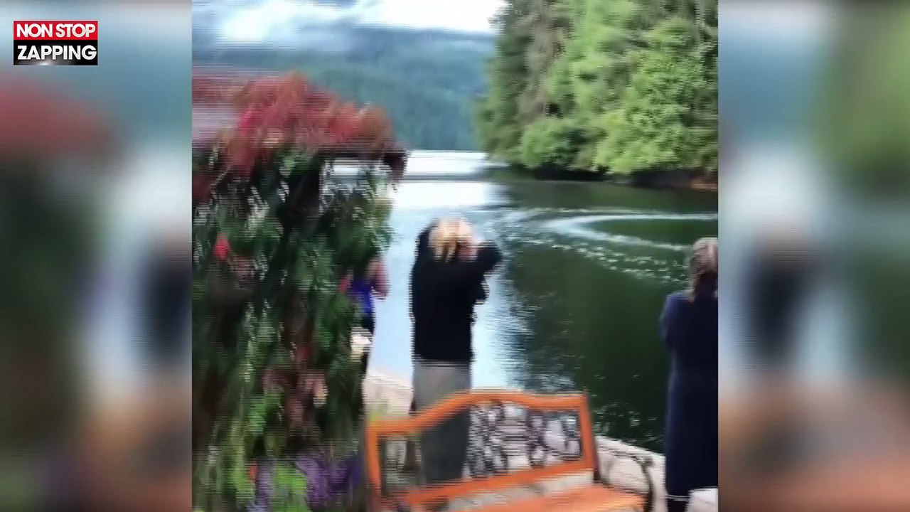 Canada : Deux baleines à bosse émergent au pied d'un chalet flottant (Vidéo)