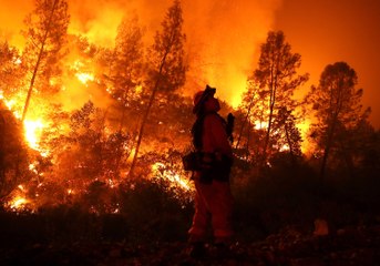 Mendocino Complex : le plus grand feu de Californie
