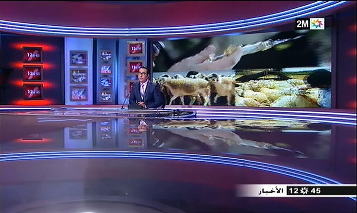 معلومة في دقيقة: تعرفوا أكثر على أنواع الأغنام