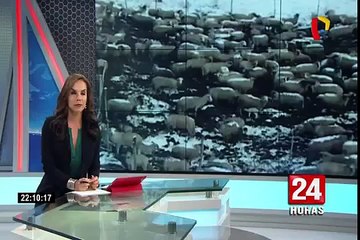 Apurímac: acumulación de nieve y hielo viene afectado a sus pobladores