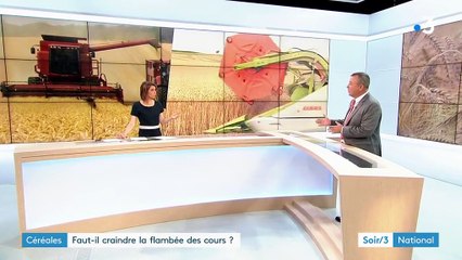 Céréales : faut-il craindre la flambée des cours ?