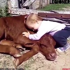 Herşey sevmekle başlar - Op. Dr. İrfan Tarhan