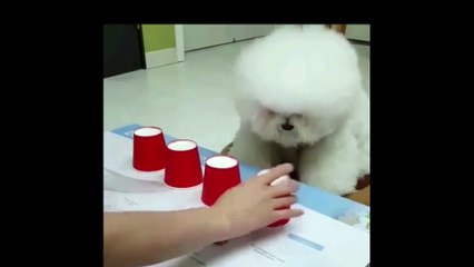 Doğru Gözlem ve Bilimsel Yaklaşım - Op. Dr. İrfan Tarhan