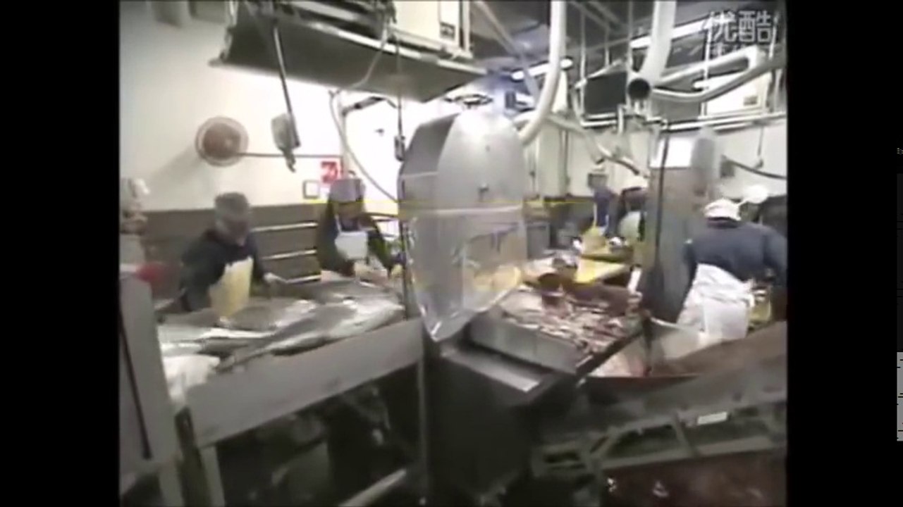proses pembuatan cornet dari ikan tuna