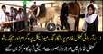 ARY Cattle Farm organizes a fun-filled day for the students