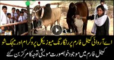 ARY Cattle Farm organizes a fun-filled day for the students