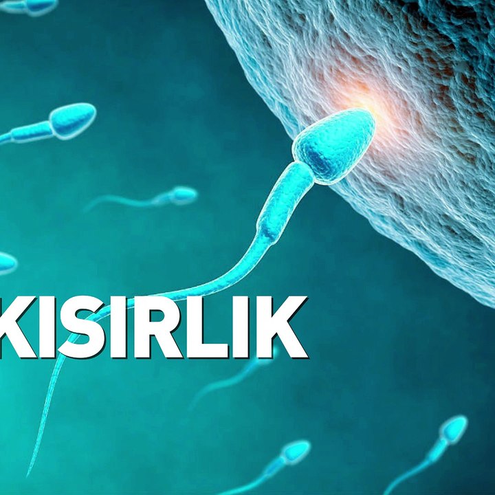 Kısırlık nedir ? - www.irfantarhan.com