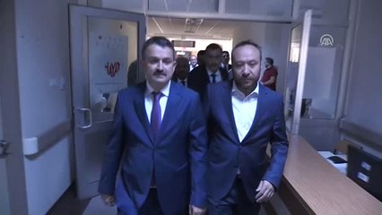 Bakan Pakdemirli: "Kurbana Hazır Büyükbaş Hayvan Mevcudumuz 1,2 Milyondur"