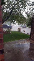 Fence Floats by in Flood