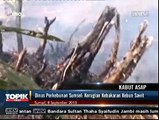 Kerugian akibat Kebakaran Hutan di Sumatera Mencapai Rp17 Miliar
