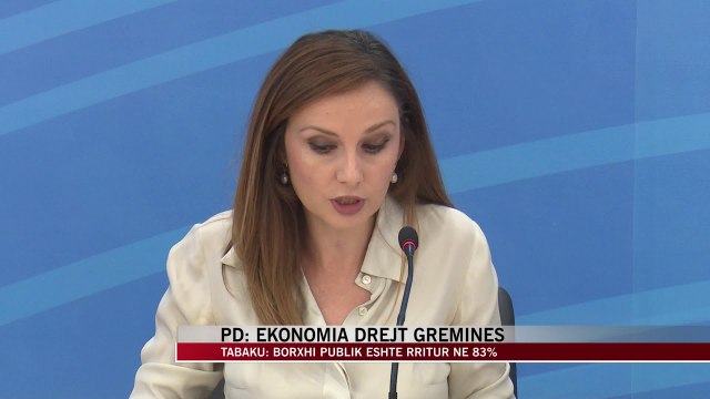 PD: Ekonomia drejt gremines - News, Lajme - Vizion Plus