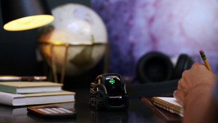 vector-by-anki-ready-to-help