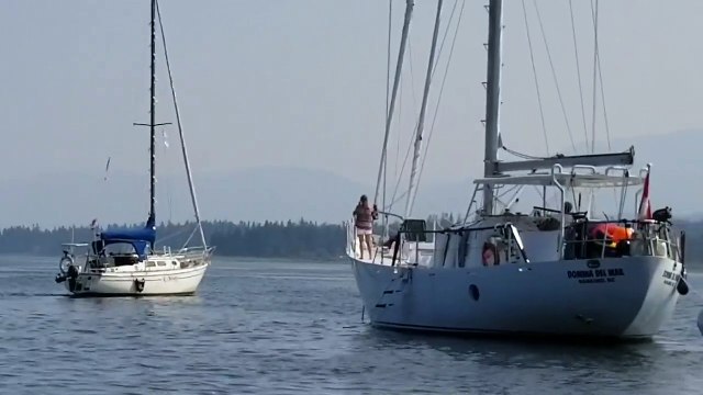 Une orque s'amuse à tirer un bateau et provoque une collision