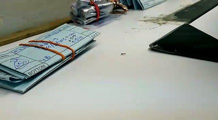 Les images incroyables d'une fourmi qui vole un diamant chez un bijoutier