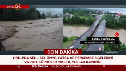 Ordu'da sel felaketi