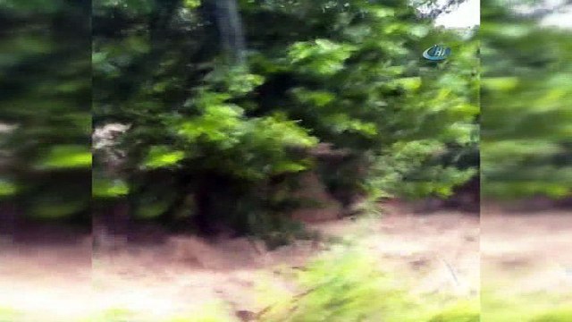 Sel suları köprü ve yolları yuttu...Sel felaketi kamerada