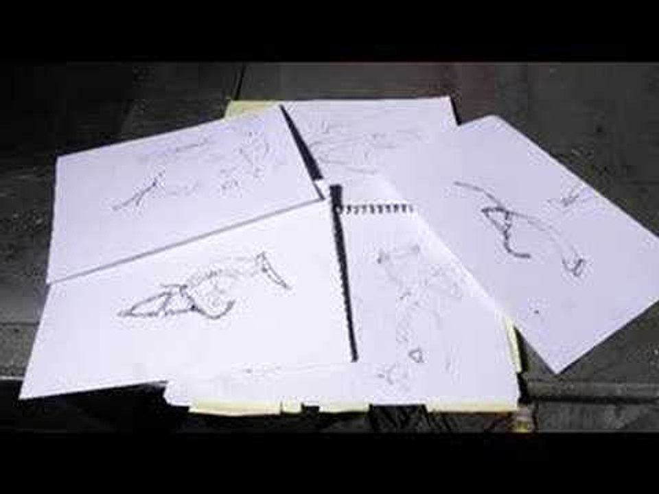 Hawg Haven: Behind the scenes