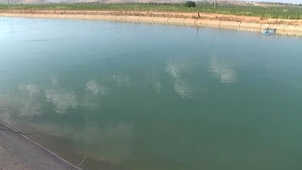 Pikap Sulama Kanalına Uçtu