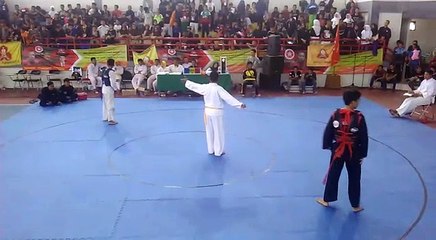 Pencak Silat Kategori  Tanding