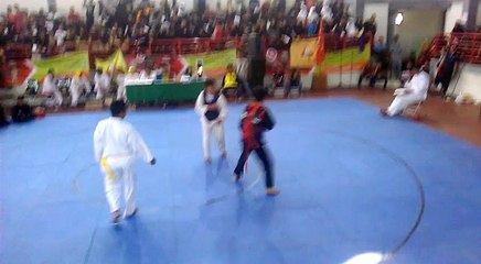 pertandingan pencak silat