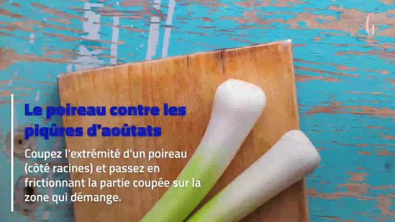 5 remèdes naturels pour soulager les piqûres en tout genre