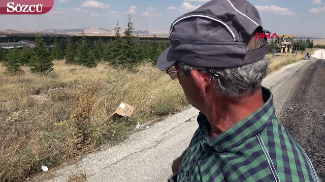 Yol kenarında ön ayakları birbirine bağlı köpek ölüsü bulundu