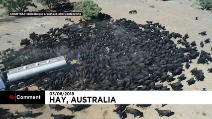 Australia, sequía sin precedentes