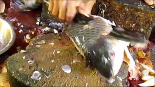 Rohu Fish Cutting Quickly | How To Cut A Rohu Fish Fast