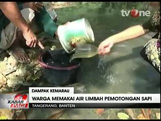 Kekeringan, Warga Banten Gunakan Air Limbah Pemotongan Sapi