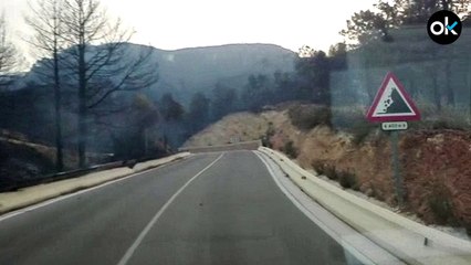 Las secuelas del incendio de Llutxent