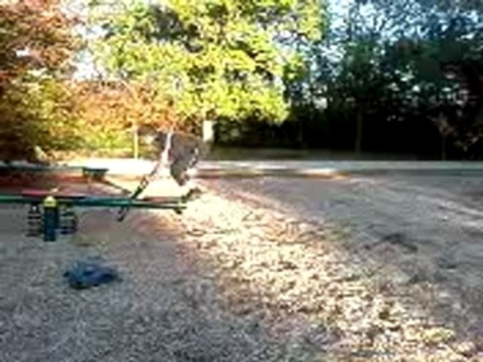 salto arriere d'un jeu