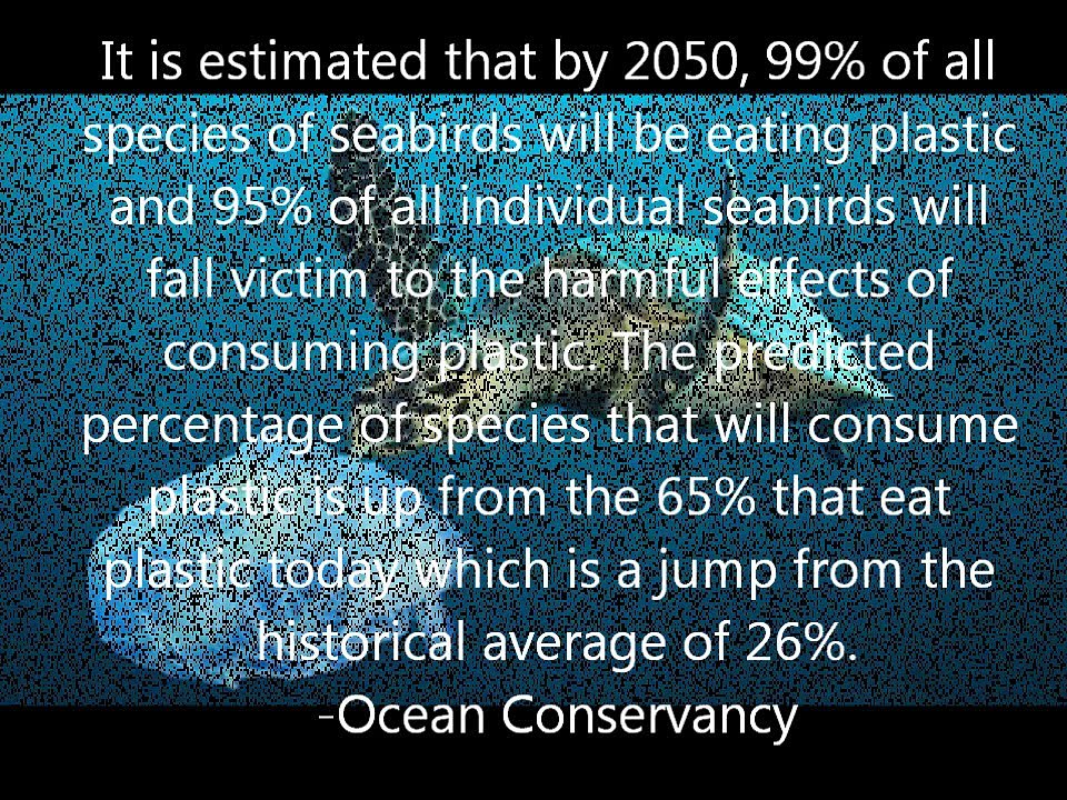 Bus 150 Sustainability Cleaning our Oceans