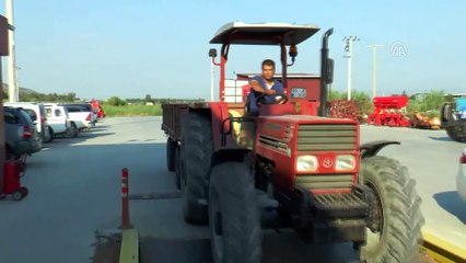 Aydın'da sezonun ilk pamuğu 60 liradan satıldı