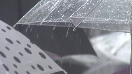 [날씨] 전국 강한 소나기...중부 폭염 반짝 주춤 / YTN