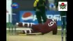 TOP 5 Killer Bouncer By Shoaib Akhtar,pakistan bowling highlig,pak vs new zealand 1st odi highlights