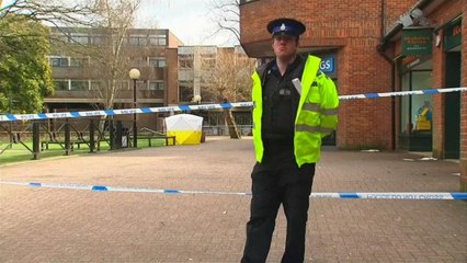 EEUU sancionará a Rusia por el caso Skripal