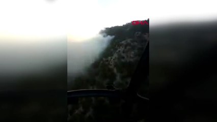 Muğla Köyceğiz'de Orman Yangını