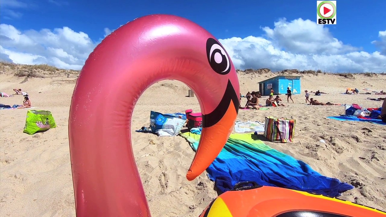 Baignade Plage-Sud - Montalivet Surf TV