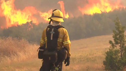 美 캘리포니아 '산불 재앙' 악화... 트럼프도 '경악' / YTN