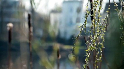 A vendre - Appartement - Ardon (1957)