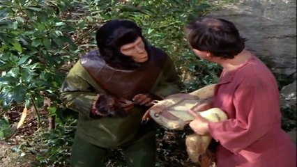 Planet of the Apes E09 HD -The Horse Race(1974 TV series)english subtitles