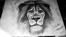 Draw a lion's head