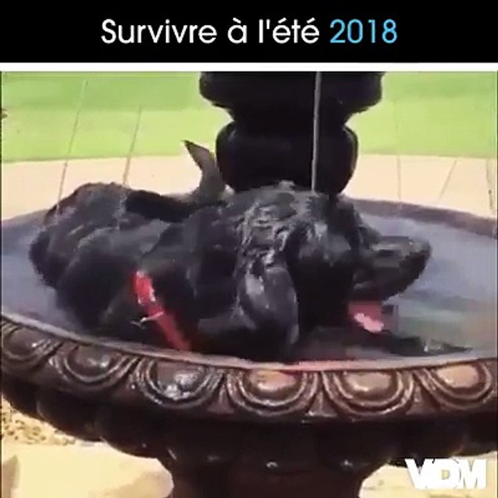 On fait comme on peut